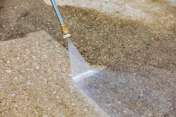 Best Gutter Cleaning  in Laurens, IA